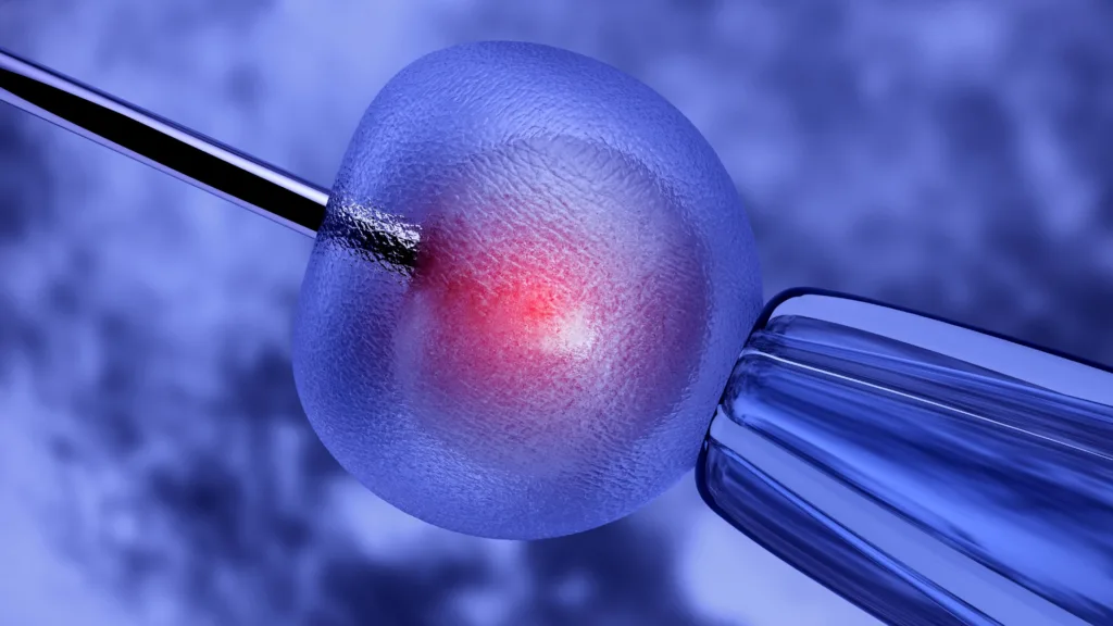 Inseminación artificial proceso y tratamiento