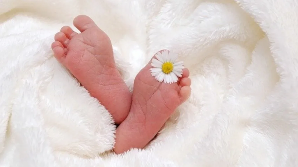 Sexo del bebé Revista Digital mamas360 Embarazo y Maternidad
