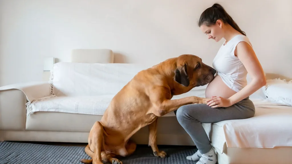 Cómo preparar a perros y gatos para la llegada de un bebé mamas360