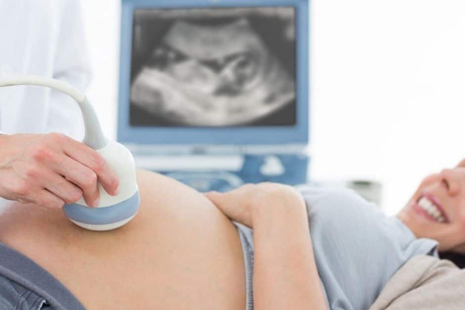 Cómo la placenta alimenta al bebé 2 Revista Digital mamas360 Embarazo y Maternidad
