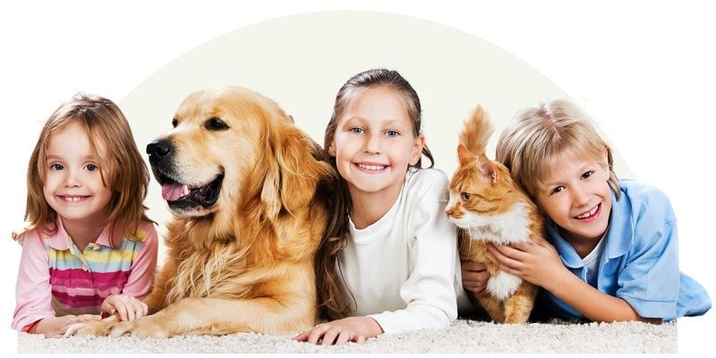 Mascotas y Niños | Beneficios y Consejos de Seguridad - Mamas360 Cuidados de las mascotas