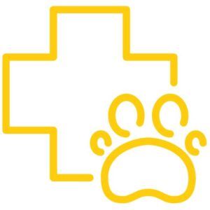Salud de las Mascotas Cuidado y Bienestar mamas360