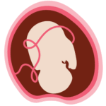 Desarrollo Fetal Mes 9 - Mamas360