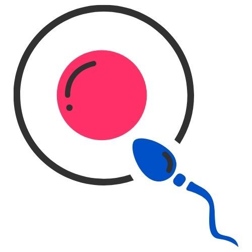 Fertilidad mamas360 embarazo y maternidad