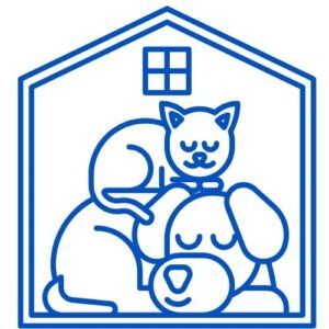 Vida con Mascotas Convivencia y Diversión mamas360
